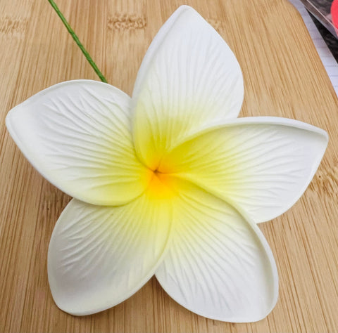 3.5” Yellow and White Large Plumeria - Full Bloom with Ribbed Edges