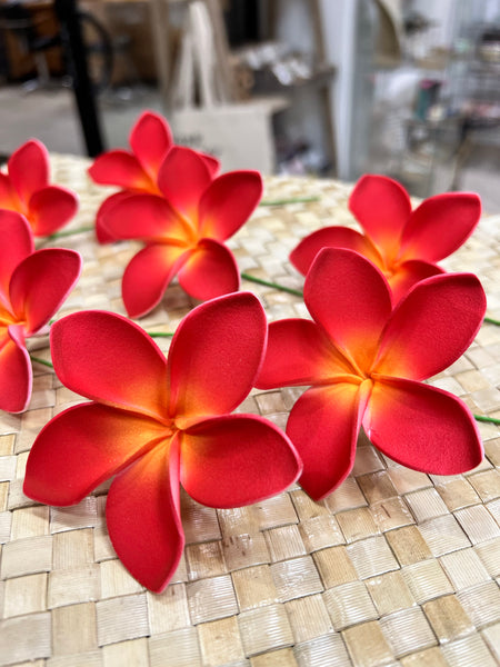 3” All Red Plumeria with Yellow Middle Medium Size