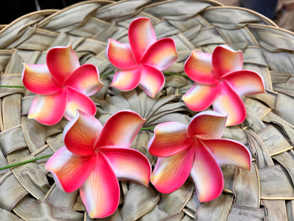 2.5" Cup Bloom Plumeria with Stem - Bright Red/Yellow Ombre - Medium